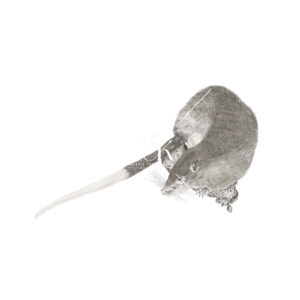 Giant White-Tailed Rat