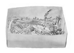 Lumholtz's Tree-Kangaroo - dendrolagus lumholtzi (skeleton)