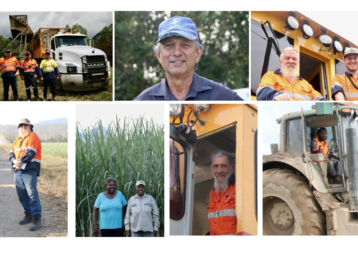 Entries in About Sugar Tully