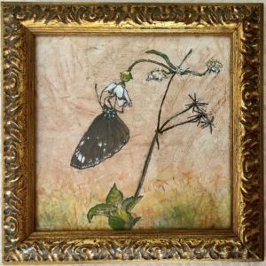 Purple Crow Butterfly on weed, 2026